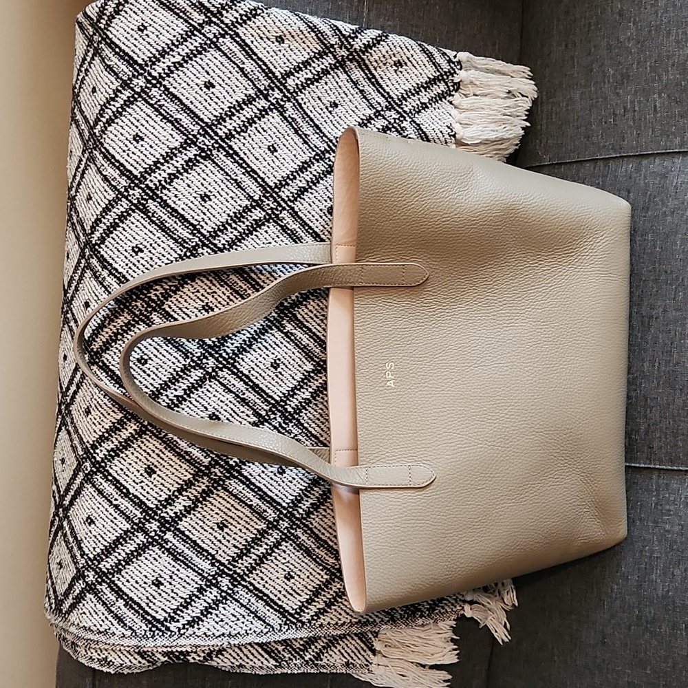 Cuyana Classic Small Structured Tote in Stone